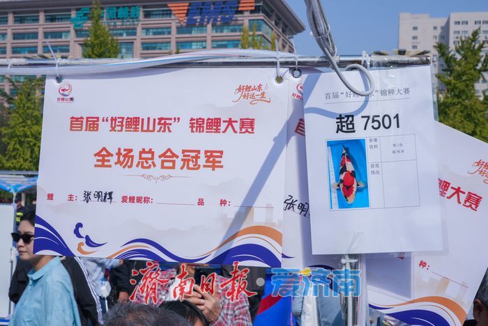 首届“好鲤山东”锦鲤大赛泉城开赛