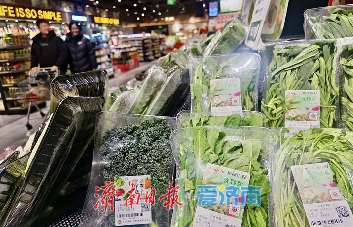 “春日味道”上线