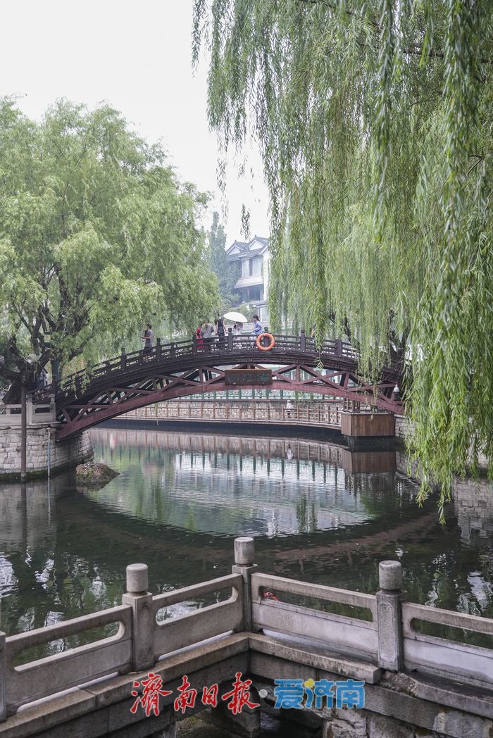 一年四季 泉在济南丨夏雨送清凉，济南护城河畔风景如画