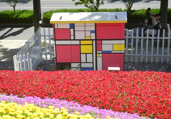 济南“七彩花田”初夏绽新颜