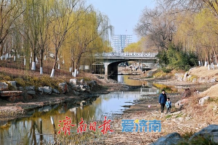 一年四季 泉在济南丨初春绽新颜 腊山河公园春意渐浓