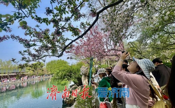 不负好春光！泉城踏青赏花正当时
