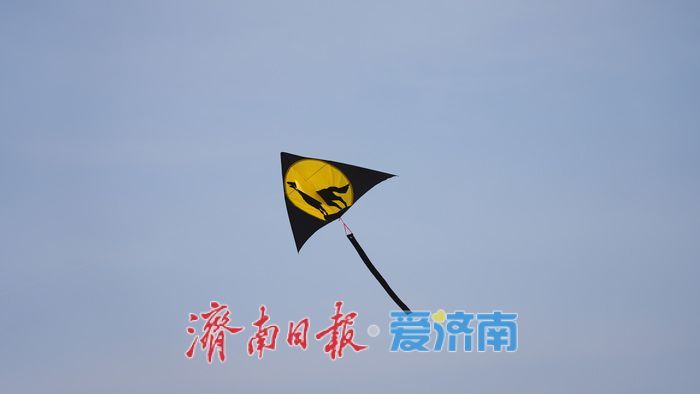 泉城春日的天空，被风筝 “承包” 了