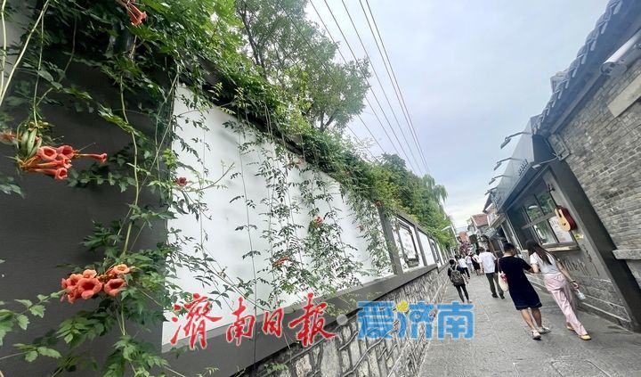 一年四季 泉在济南丨浅秋染老街 尽显老城韵味