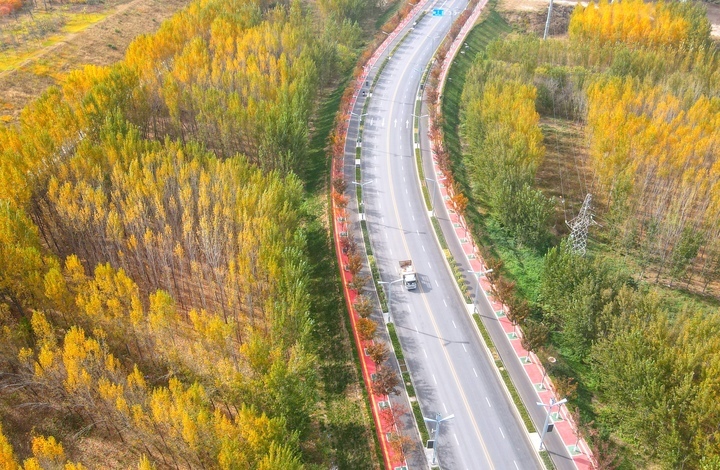 济南黄河生态廊道深秋时节风景如画