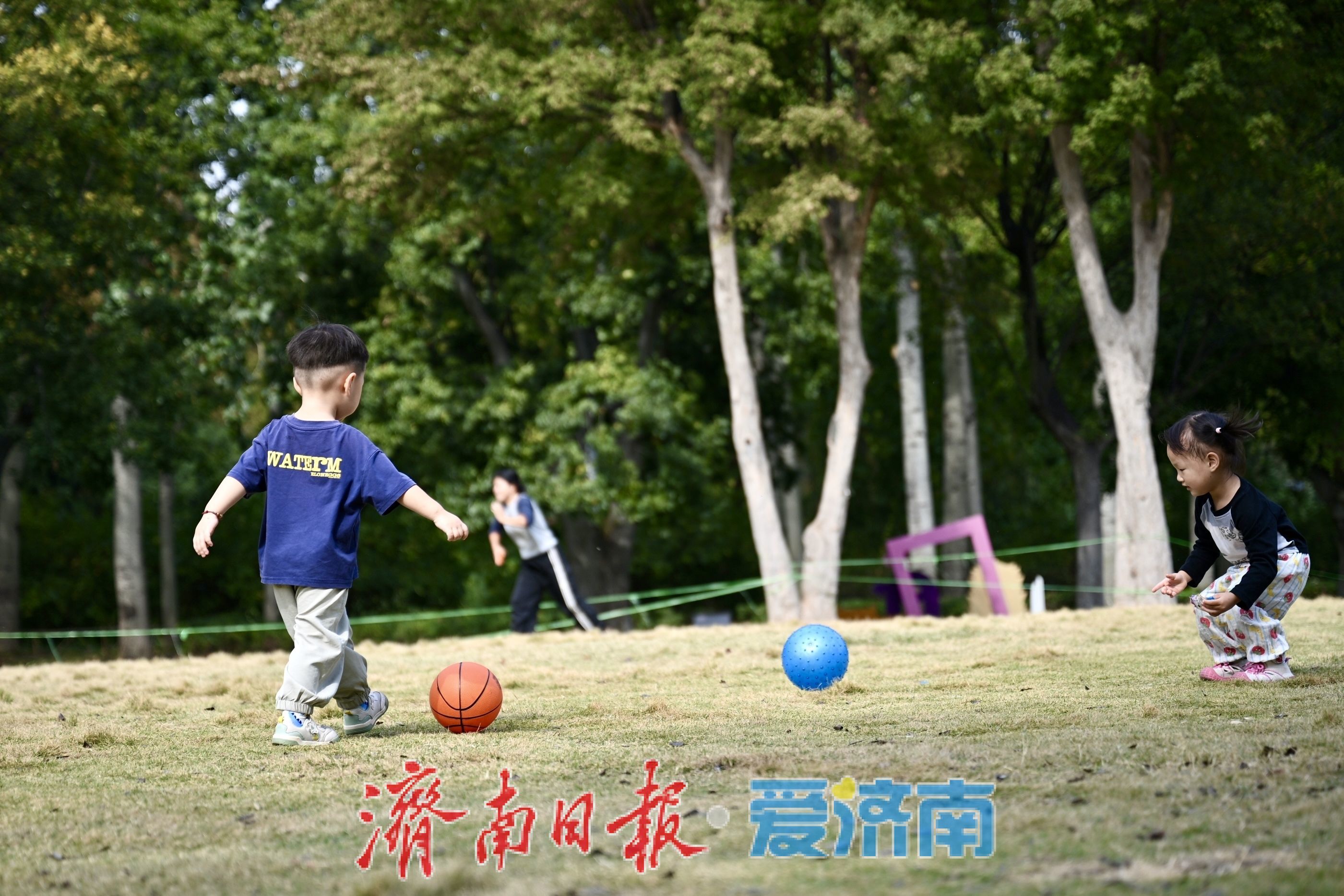 一年四季 泉在济南丨秋染林海景如画 济南森林公园乐享休闲好时光