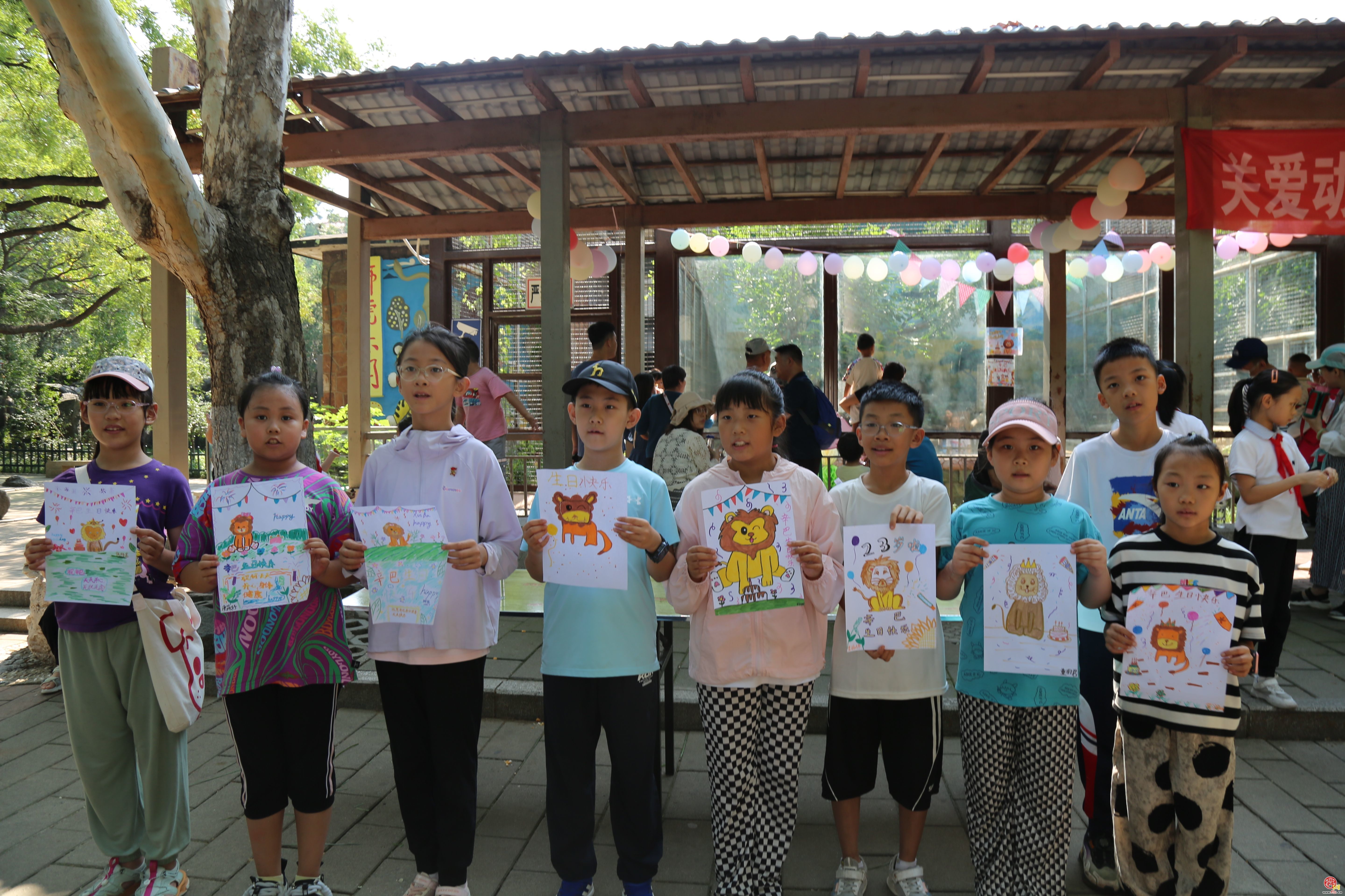 济南动物园为狮子“辛巴”庆生 独特 “羊皮” 增添别样魅力