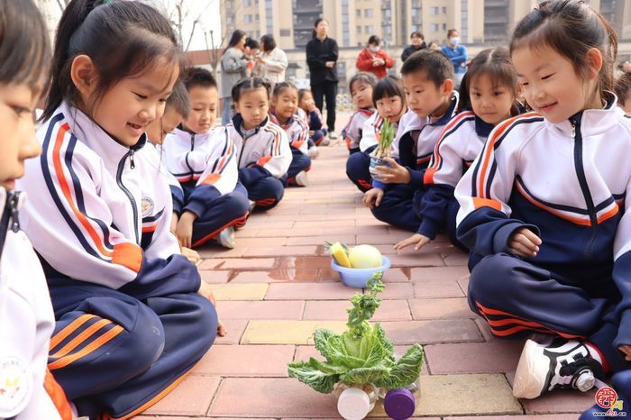 济南市天桥区枫景小学开展植树节活动