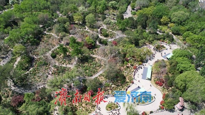 泉城公园繁花绘就 “春日经济”新盛景