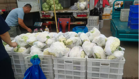 济南蔬菜普涨超两成，天气原因致本地减产是主因