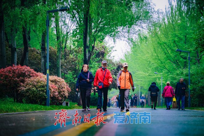 一年四季 泉在济南｜春雨润泉城 济南森林公园春日晨雨后换新颜