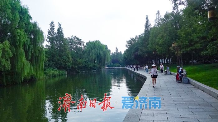 漫步明湖南岸 邂逅秋日湖柳风光