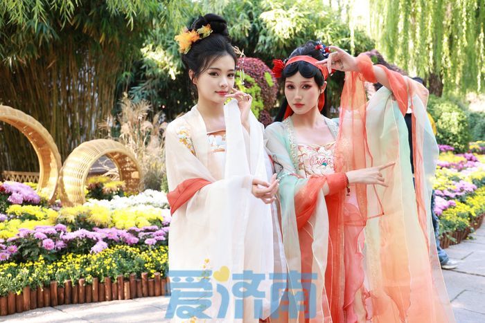 图集｜趵突泉“菊花仙子”古风巡游