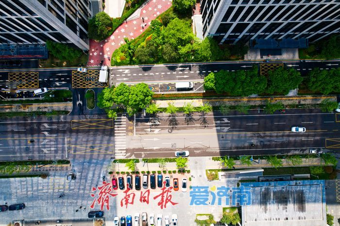 楼宇为框 春色入画