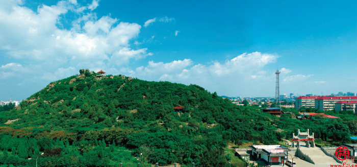 槐荫：这是一座充满独特气质的文化之城