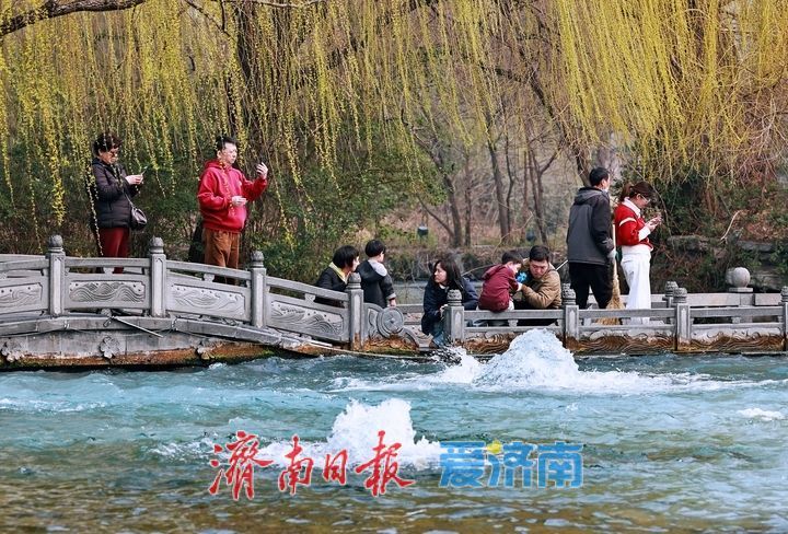 百脉泉公园梅花泉持续喷涌 春日泉景醉游人