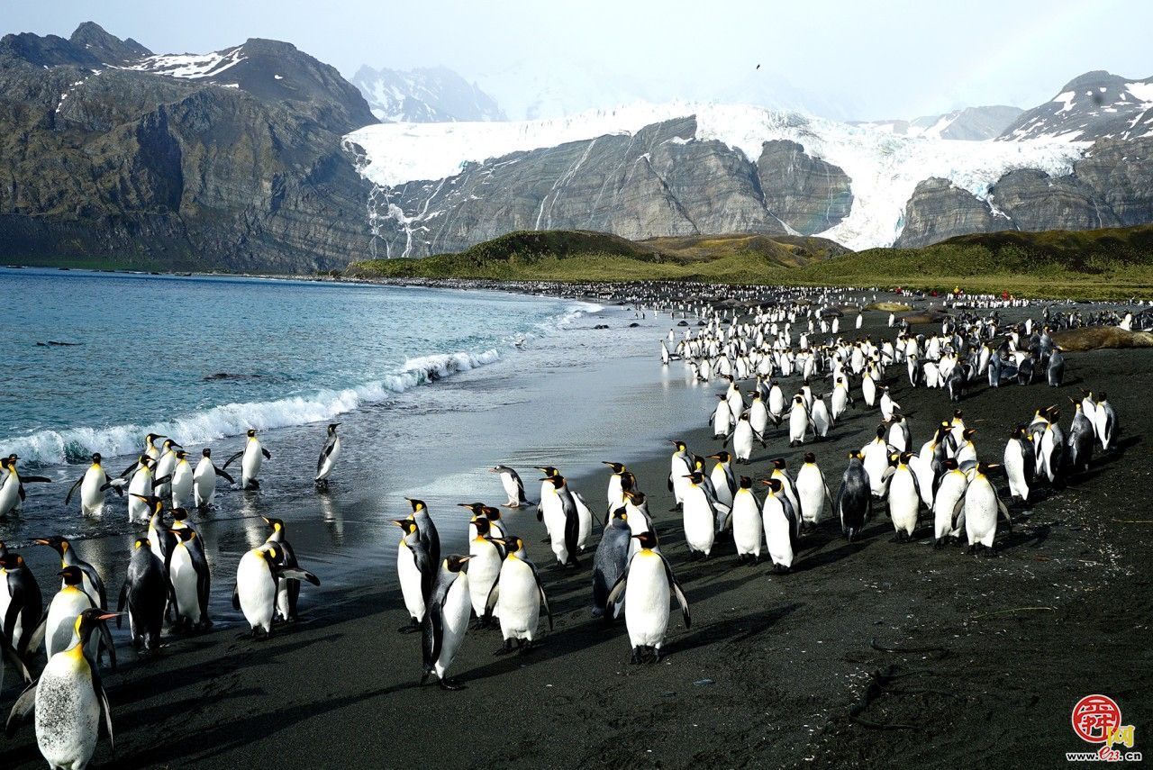 侯贺良8探南极数智影像大展在山东博物馆开展