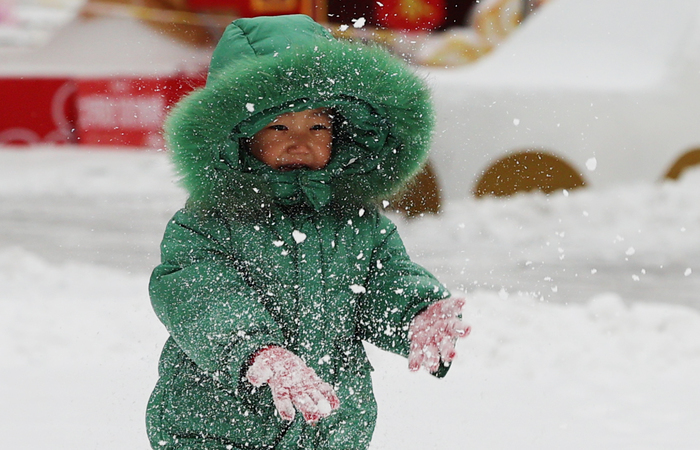 纷扬春雪润泉城 雪打花灯兆丰年