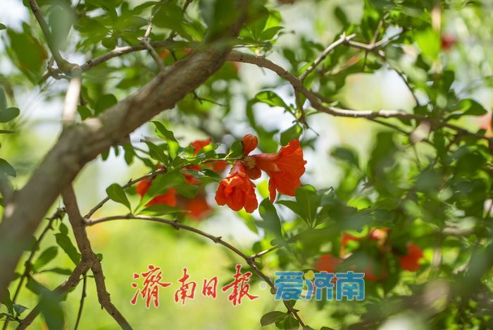 一年四季 泉在济南 