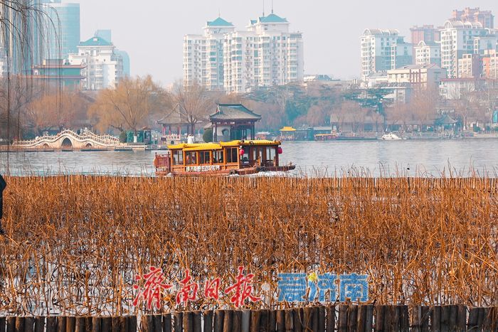 诗意满满！明湖冬韵 美不胜收