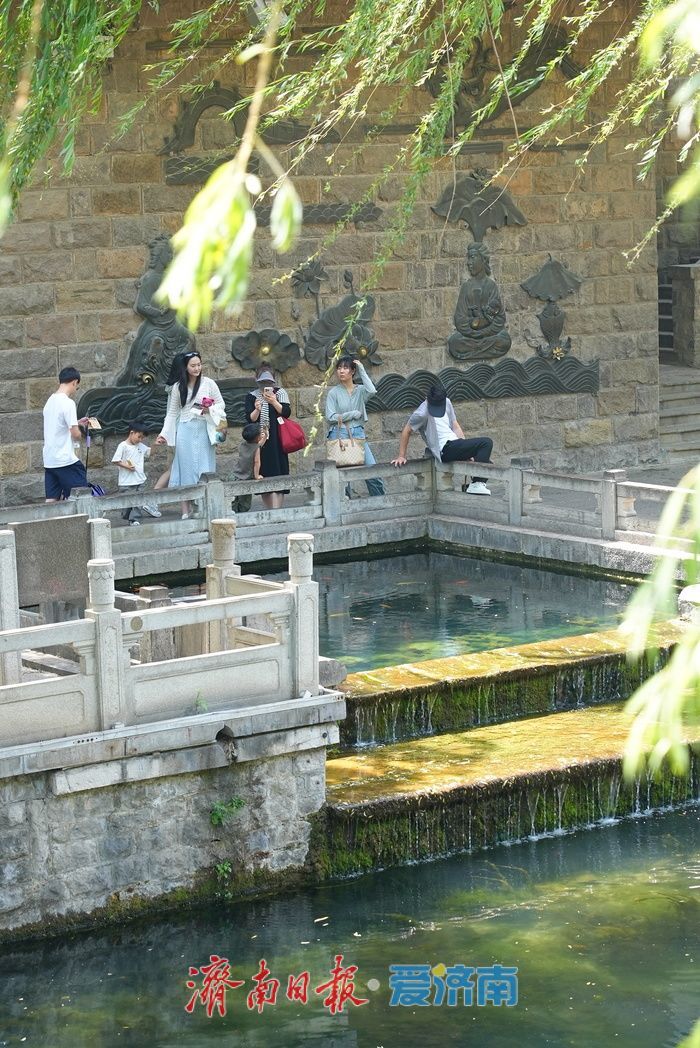 一年四季 泉在济南丨烈日炙烤 护城河畔成为“避暑秘境”