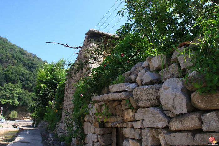 观花官庄丨石门村：桃花灼灼笑春风，诗画乡野待君来