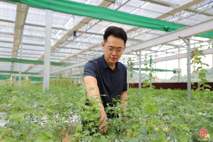 最美新农人｜刘炜昊：海归“新农人”的乡村振兴梦