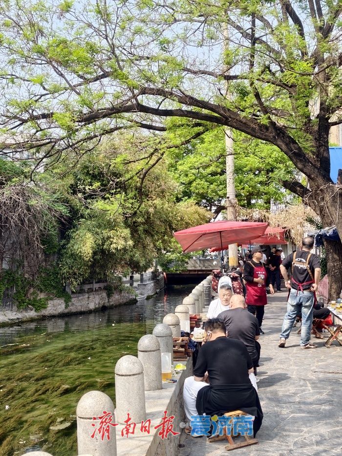 暮春泉城多惬意，绿荫清风似初夏