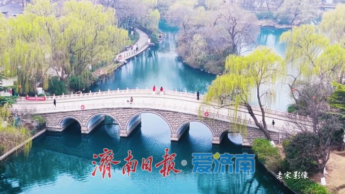 一年四季 泉在济南丨大明湖碧波荡漾 垂柳抽芽吐绿