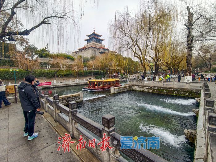 冬游济南，听泉赏河享诗意