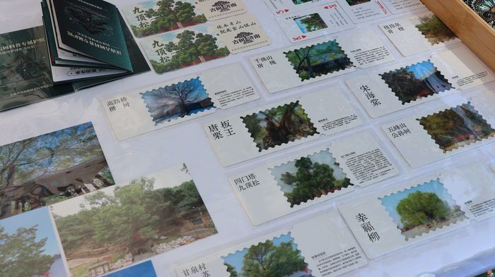 泉林有约 植愈生活 济南市园林和林业绿化局2026年全国科普月系列活动启幕