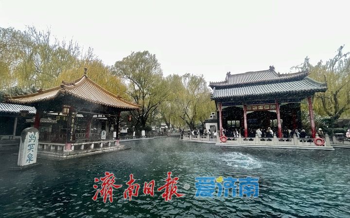 一年四季 泉在济南丨趵突泉“云雾润蒸”引客来