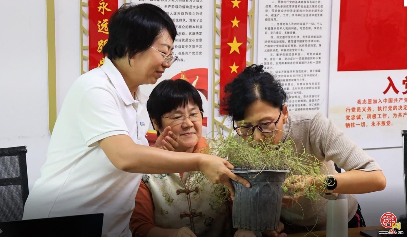 “香”伴中秋 济南园·林惠民行走进高新区舜华路街道舜信社区