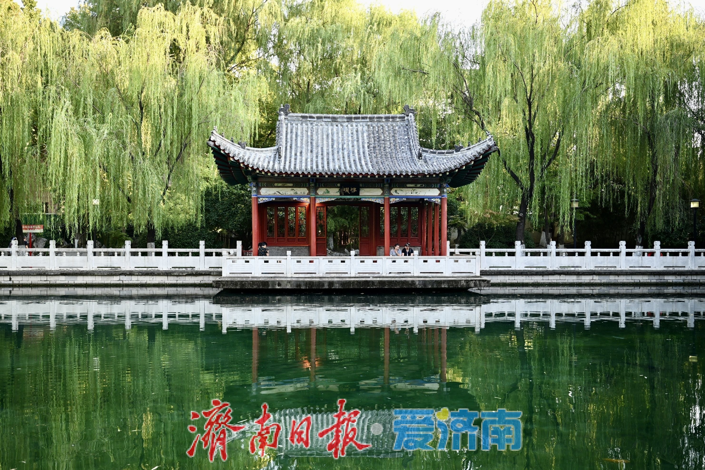 秋染珍珠泉 泉城古韵引游人沉醉
