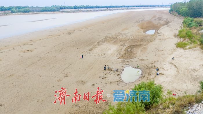 凶险！济南黄河岸边水位回落，别把滩涂当乐园