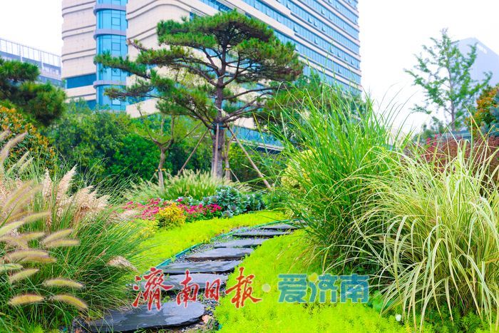 一年四季 泉在济南丨经十路奥体中路街角花园雨后焕新颜