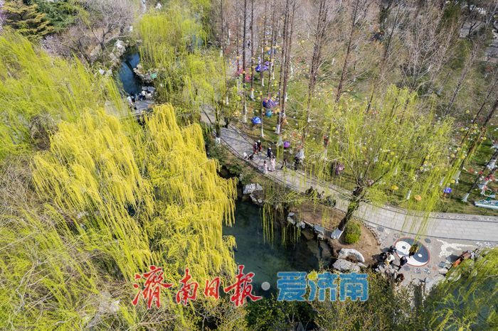 一年四季 泉在济南丨五龙潭春意上线