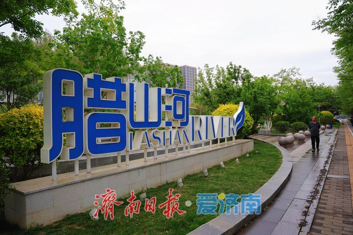 细雨润街巷 泉城雨后步步皆景