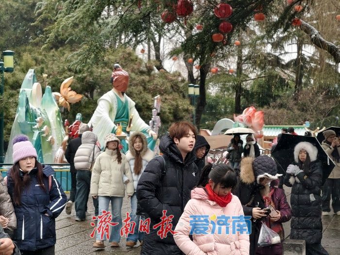 一年四季 泉在济南丨趵突泉畔花灯初绽，泉城年味渐浓