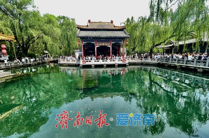 一年四季 泉在济南｜雨后趵突泉水位回升 泉水欢腾引游客