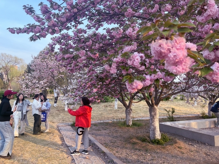 赏花打卡，享受春暖花开