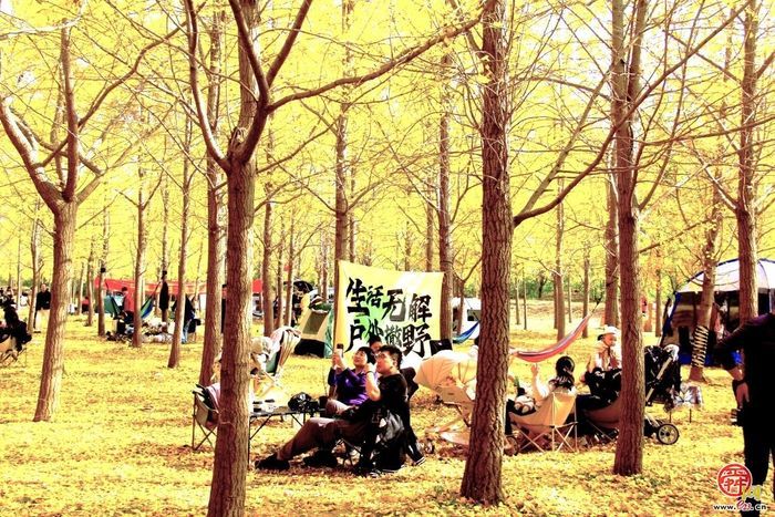 走！去槐荫，当一天“城市农夫”