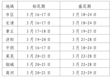 春天里的花海，在济南去哪里看杏花？