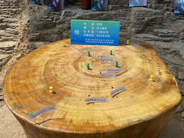 第三届山东省森林文化周启动仪式在佛慧山举行