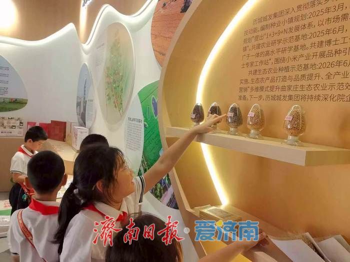 轨交通田园，稻浪作课堂 曲家乡村TOD金秋研学正当时