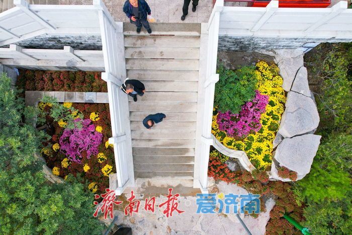 登历山极顶 览泉城新卷 千佛山城市观景平台全新亮相