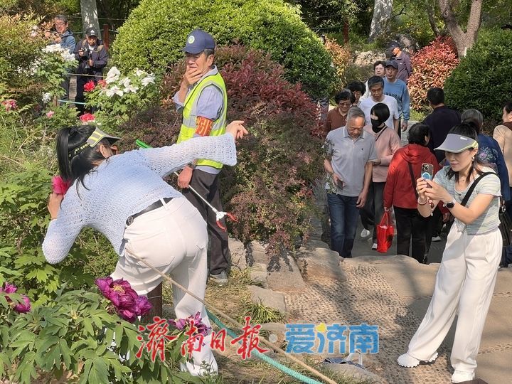 牡丹面前，你的样子真的不美