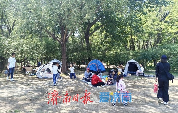 一年四季 泉在济南｜搭帐篷、享野餐，市民乐享五一慢时光