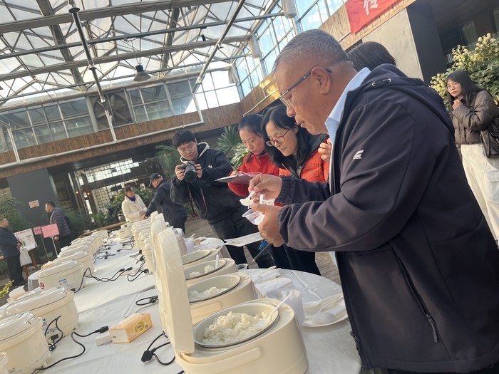 38个品种同场竞技，这场香气扑鼻的黄河大米争霸赛“杠赛来”