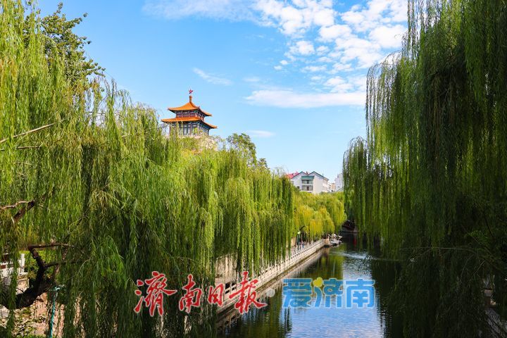 一年四季 泉在济南丨天高云淡秋意浓 泉城碧水映长天